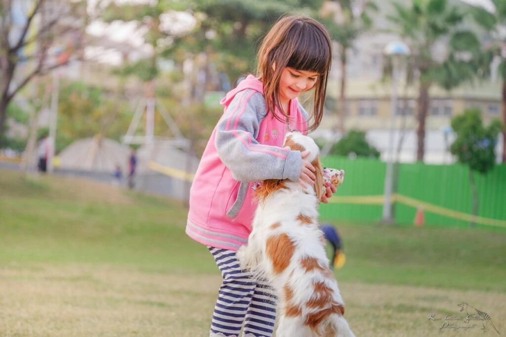 A young girl enjoys playful moments with her pet Cavalier King Charles Spaniel in a sunny park.